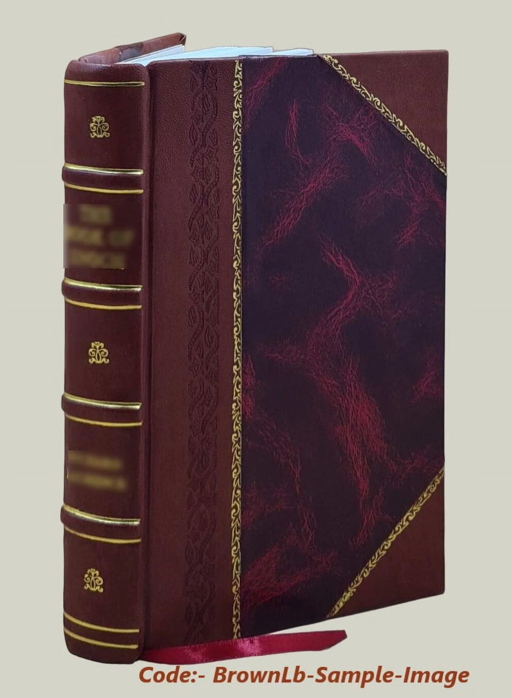 The book of the visions & instructions of blessed Angela of Foligno [Leather Bound] U158