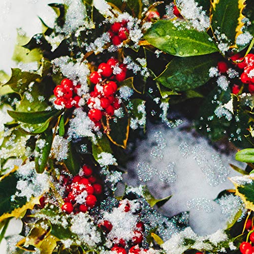 Hallmark Boxed Christmas Cards, Snowy Wreath (40 Cards and Envelopes) L647