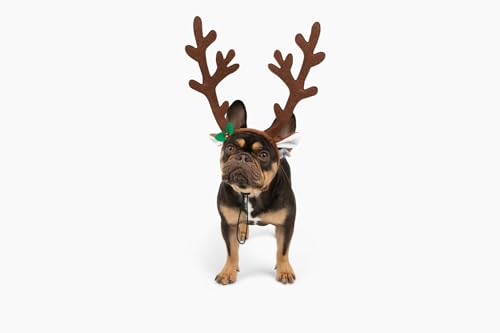 Midlee Brown Reindeer Antlers Headband Pet Christmas Costume Large H2849