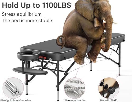 CLORIS 84" Portable Massage Table with Carrying Bag Z191211