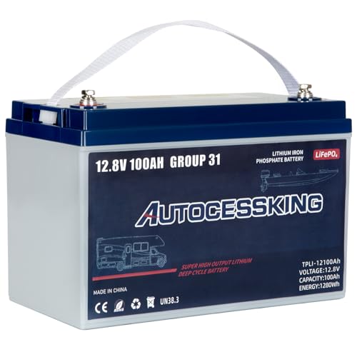 12V 100Ah BCI Group 24 LiFePO4 Battery with Low-Temp Protection F4727