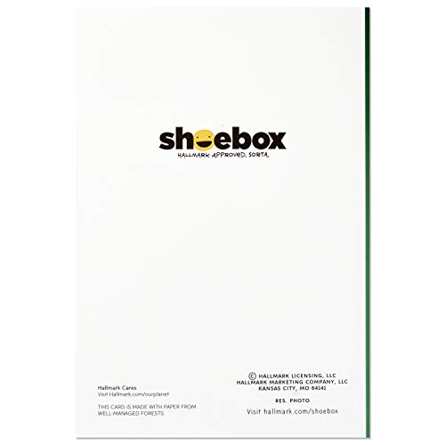 Hallmark Shoebox Funny Christmas Boxed Cards, 4 Designs, 24 Cards with Envelopes A408