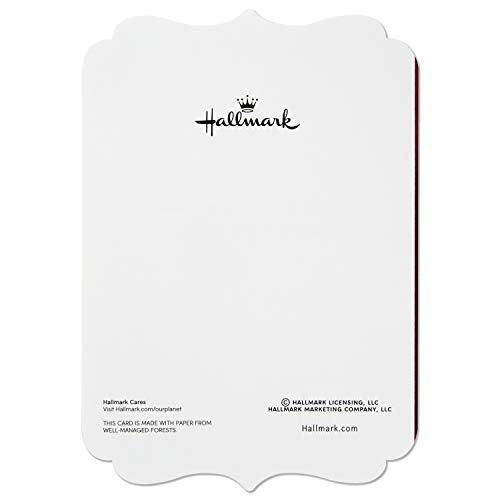 Hallmark Christmas Boxed Card Assortment with Ornament and Stocking, 40 Cards with Envelopes W749