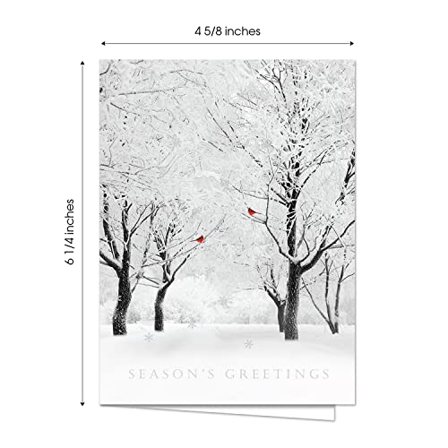 Masterpiece Holiday Greetings Christmas Cards with Snowy Cardinal Wreath, 16 Boxed with Envelopes L381397