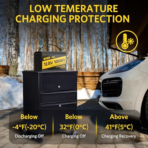 12V 100Ah LiFePO4 Battery with Low-Temp Protection and 100A BMS S942749
