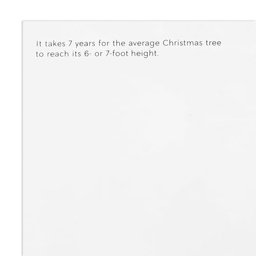 Hallmark UNICEF Boxed Christmas Cards, Here Comes Christmas (20 Cards with Envelopes) I81815