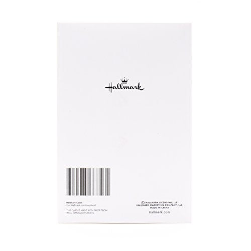 Hallmark Christmas Cards Boxed with Envelopes, Happy Holidays, 40 Count F297425