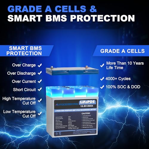 12V 100Ah BCI Group 24 LiFePO4 Battery with Low-Temp Protection F4727