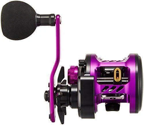 Daiwa Kyohga 100Sh Baitcasting Reel P808320