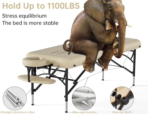 CLORIS 84" Portable Massage Table with Carrying Bag Z191211