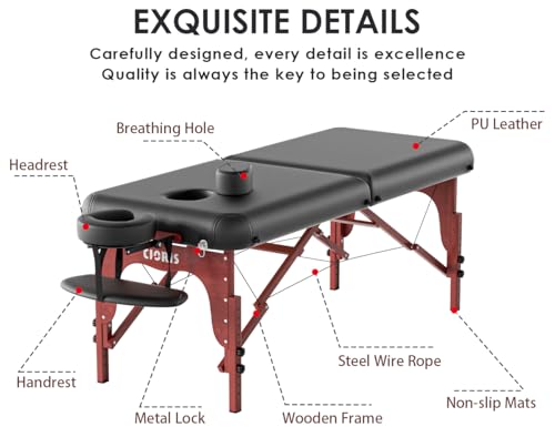 CLORIS 84" Portable Massage Table with Carrying Bag Z191211