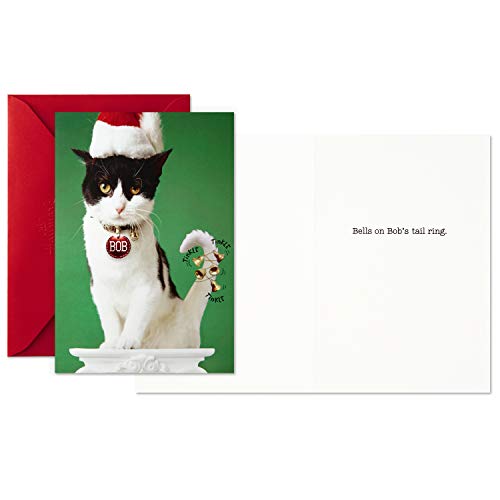 Hallmark Shoebox Funny Christmas Boxed Cards, 4 Designs, 24 Cards with Envelopes A408