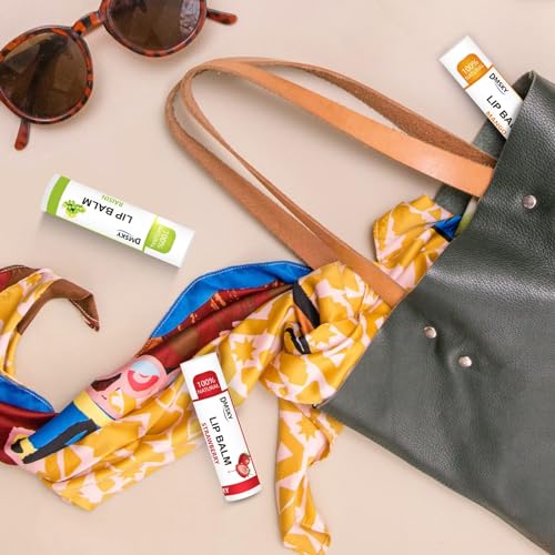 DMSKY Natural Lip Balm Bulk 36 Pack with Vitamin E and Coconut Oil, 12 Flavors L77674