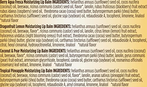 Burt's Bees Lip Balm 4-Pack, Pink Grapefruit, Mango, Coconut & Pear, Pomegranate C323915