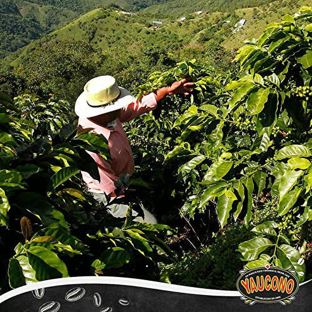 Cafe Yaucono Ground Coffee Puerto Rican, 14 Ounce Bag (Pack of 2) G5568