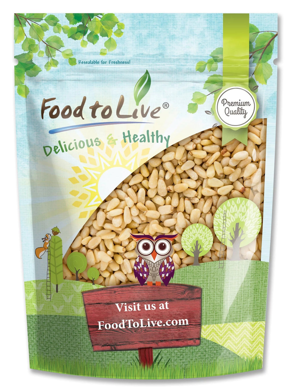 Pine Nuts, 1 Pound — Kosher, Vegan, Raw — by Food to Live