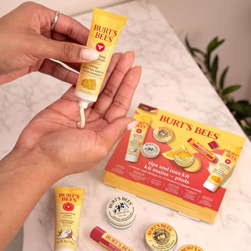 Burt's Bees Classics Set, 6 Products in Giftable Tin T395