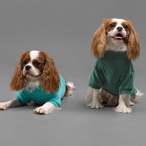 Fitwarm 3 Pack Classic Fleece Dog Sweater for Small Dogs, Medium D613