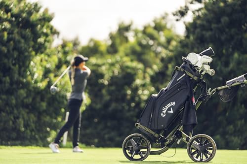 Callaway Golf Fairway 14 Stand Bag J751677