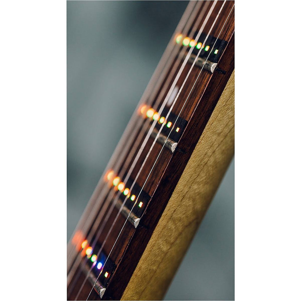 Fret Zealot LED Guitar Instruction 24.75x22 Scale L640