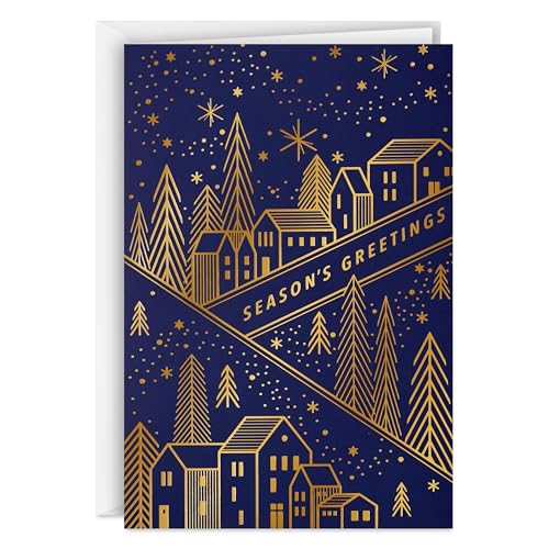 Hallmark Modern Boxed Christmas Cards, Amazing Holiday (40 Cards and 40 Envelopes) Evergreen Branches and Holly