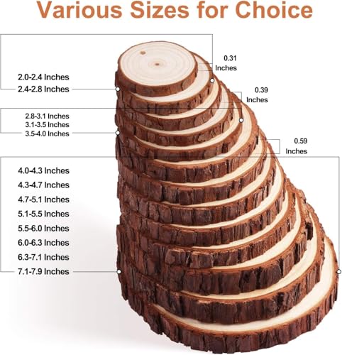 Fuyit Natural Wood Slices 30 Pcs 2.4-2.8 Inches Unfinished Predrilled Wooden Circles for Crafts P544