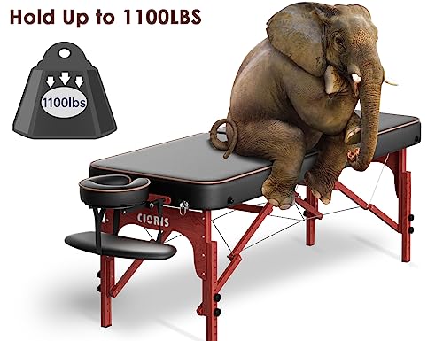 CLORIS 84" Portable Massage Table with Carrying Bag Z191211