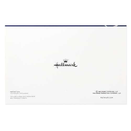 Hallmark Christmas Cards Boxed with Envelopes, Happy Holidays, 40 Count F297425