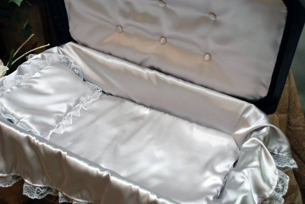 Deluxe Pet Coffin for Cat Dog or Other Pet - Small, Black with Silver C4113