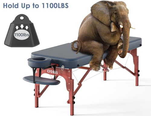CLORIS 84" Portable Massage Table with Carrying Bag Z191211