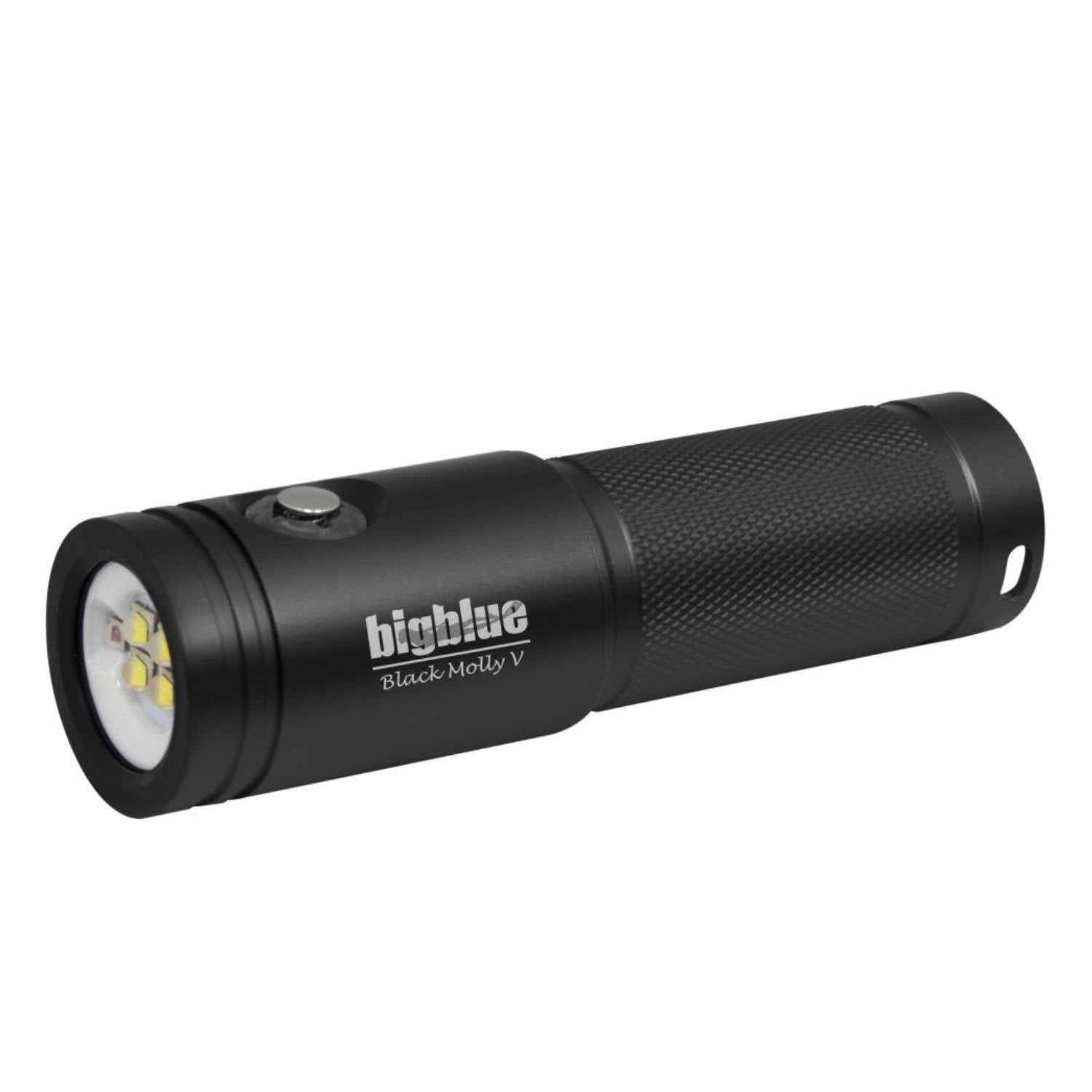 Bigblue AL2600XWP-II 2600 Lumen Extra-Wide Beam LED Dive Light Black - Megean