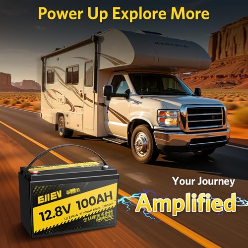 12V 100Ah LiFePO4 Battery with Low-Temp Protection and 100A BMS S942749