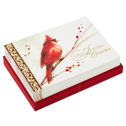 Hallmark Boxed Christmas Cards, Painted Cardinal (40 Cards with Envelopes) O254