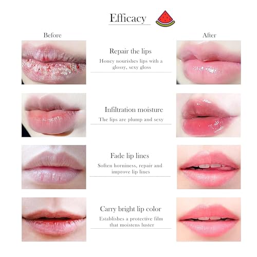 8 PCS Bee Lip Balm Honey Pot Variety Pack - Hydrating Overnight Lip Mask S63536