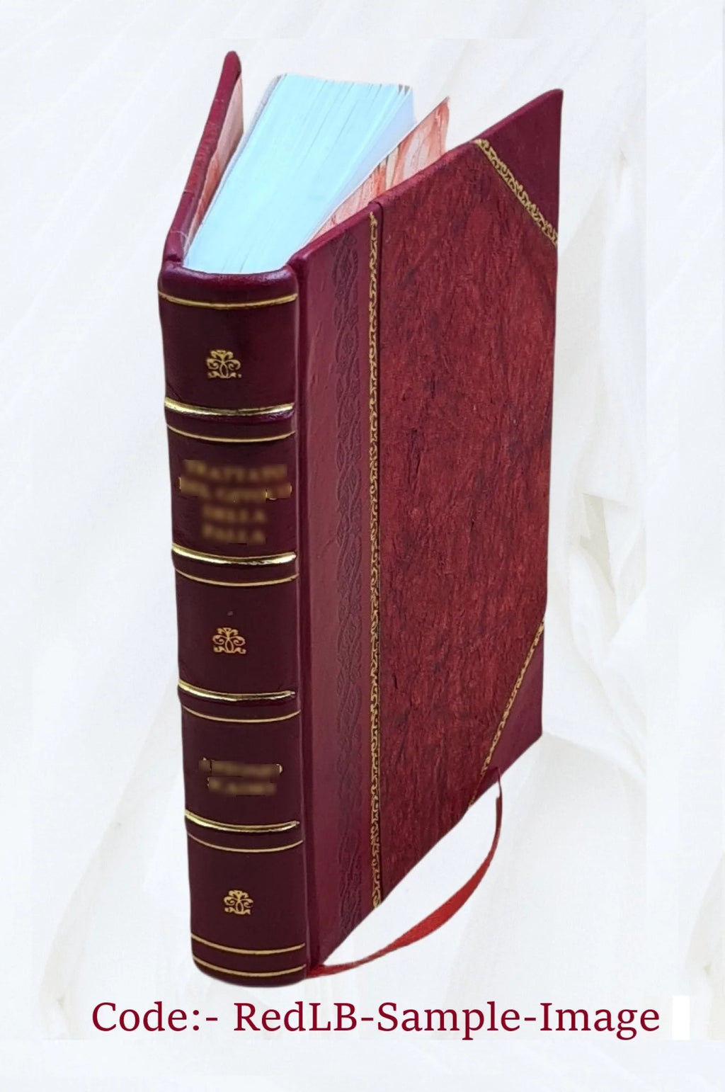 The book of the visions & instructions of blessed Angela of Foligno [Leather Bound] U158
