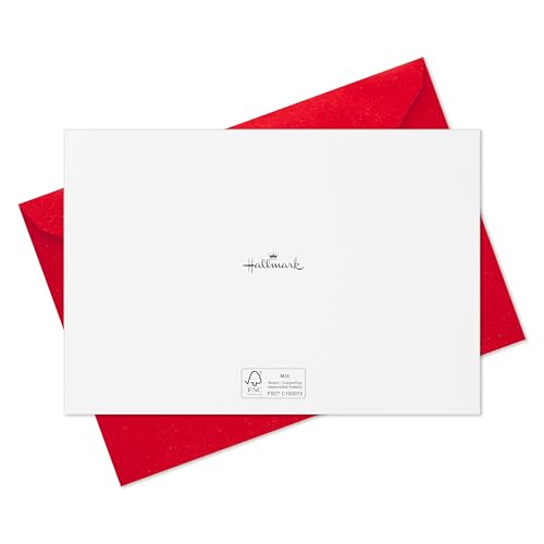 Hallmark Boxed Christmas Cards, Rustic Red Truck (40 Cards with Envelopes) I527113