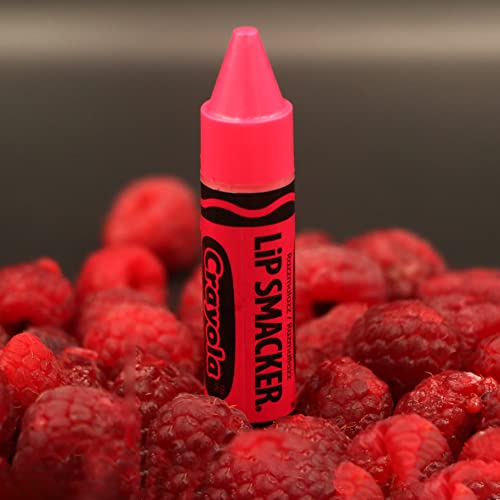 Lip Smacker Original Party Pack - 10 Moisturizing Lip Balms, Classic Flavors S23577