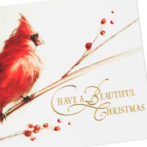 Hallmark Boxed Christmas Cards, Painted Cardinal (40 Cards with Envelopes) O254