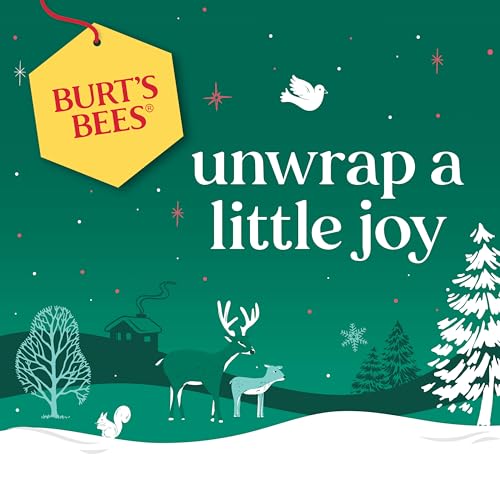 Burt's Bees Classics Set, 6 Products in Giftable Tin T395