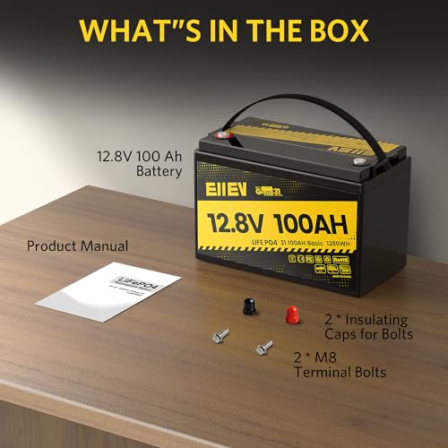 12V 100Ah LiFePO4 Battery with Low-Temp Protection and 100A BMS S942749