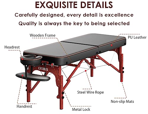 CLORIS 84" Portable Massage Table with Carrying Bag Z191211