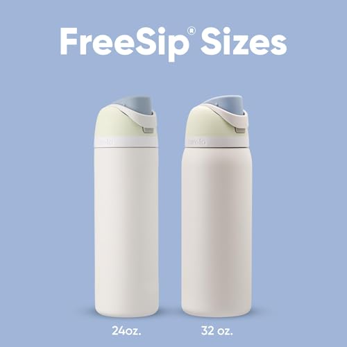 Owala FreeSip Insulated Stainless Steel Water Bottle with Straw, 24 oz, Iced Breeze B18538