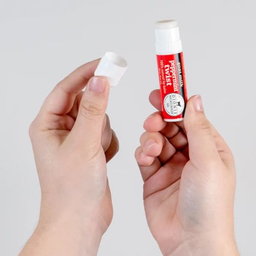 Dionis Goat Milk Lip Balm Ornament 6-Piece Variety Pack S6767