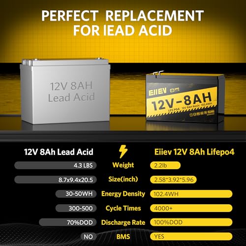 12V 100Ah LiFePO4 Battery with Low-Temp Protection and 100A BMS S942749