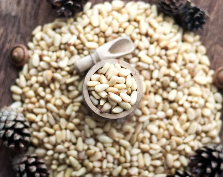 Food to Live Pine Nuts, 1 Pound, Kosher, Vegan, Raw X73388
