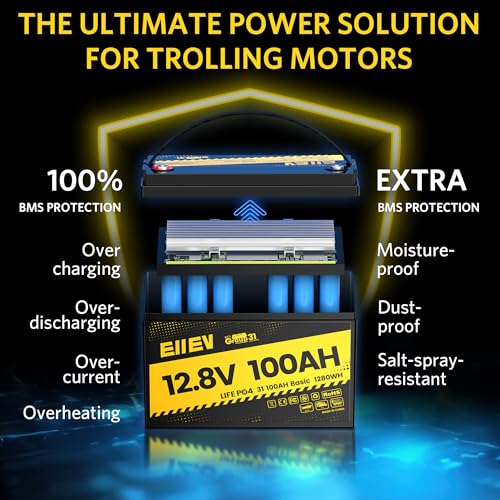 12V 100Ah LiFePO4 Battery with Low-Temp Protection and 100A BMS S942749