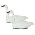 Avery Outdoors Pro Grade Swan Decoys 2 Pack - Avayadevconnect