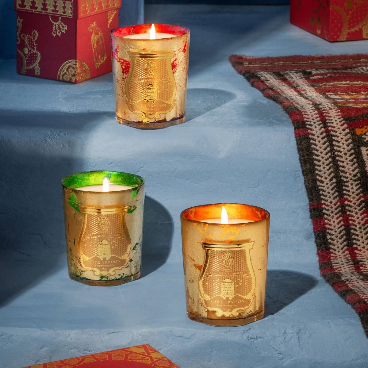 Cire Trudon Ernesto Scented Classic Candle 270g Q60101