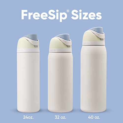Owala FreeSip Insulated Stainless Steel Water Bottle with Straw, 24 oz, Iced Breeze B18538