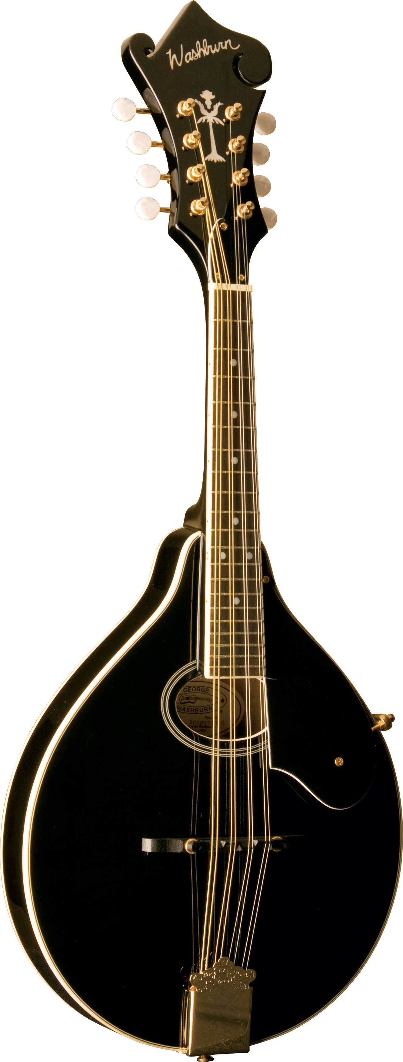 Washburn M1sdl A-Style Mandolin, Black - Megean